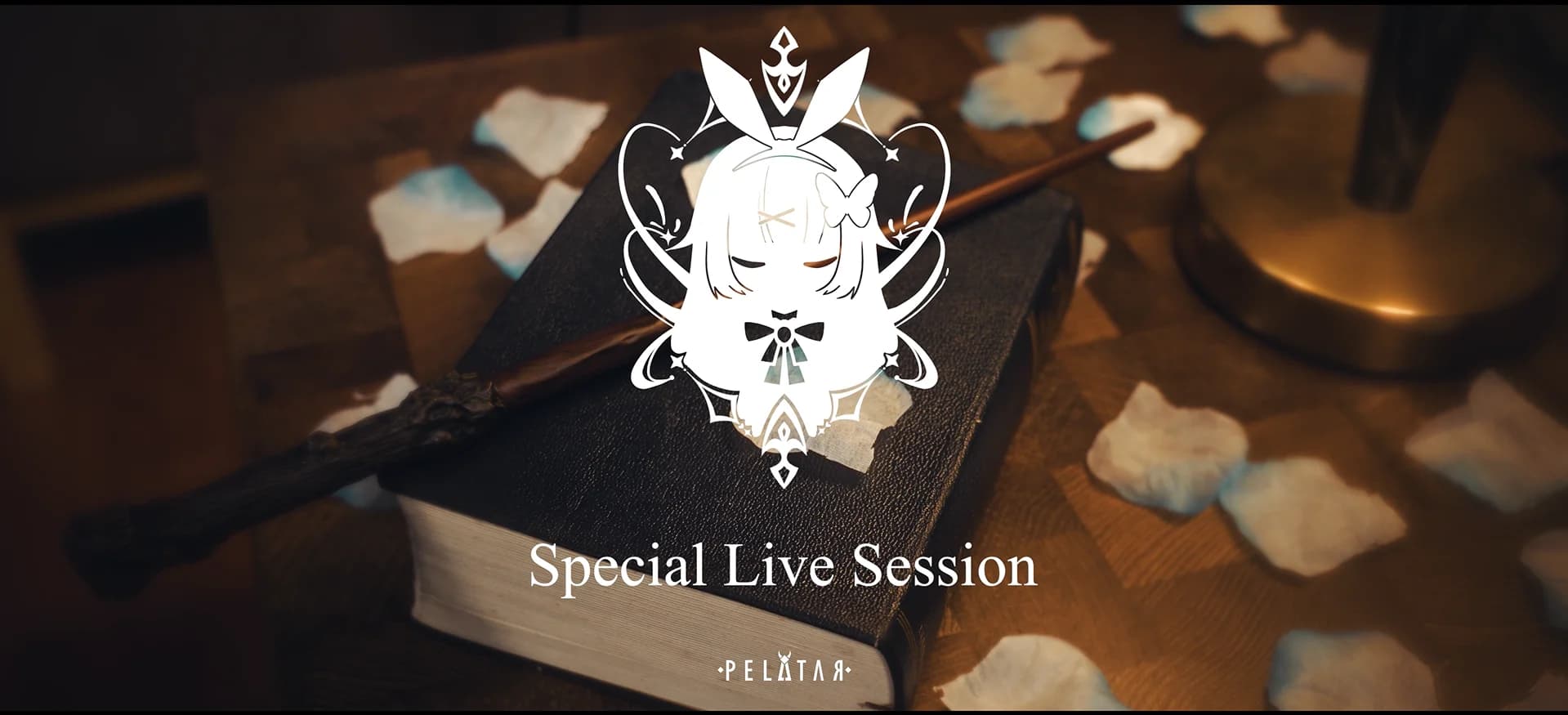 tapiocaalice Special Live Session